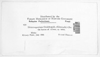 Image Associated With the Occurence